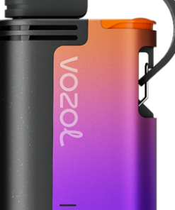 Puff VOZOL Avis - VOZOL GEAR 4000c/6000 tempête de baies forestières NV6D324