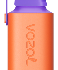 Puff VOZOL Avis - VOZOL GEAR 600 glace aux mûres NV6D360