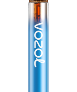 Puff VOZOL Avis - VOZOL NEON 800 tempête de baies forestières NV6D270