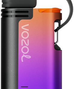 Puff VOZOL France - VOZOL GEAR 4000c/6000 glace aux raisins NV6D325