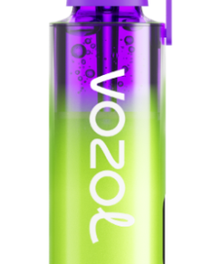 Puff VOZOL France - VOZOL NEON 10000 glace à la pastèque NV6D241