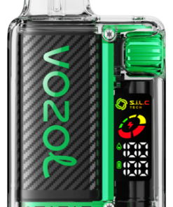 Puff VOZOL France - VOZOL VISTA 16000/20000 bubble-gum à la pastèque NV6D19