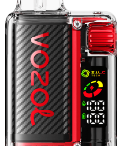 Puff VOZOL France - VOZOL VISTA 16000/20000 pastèque framboise NV6D13