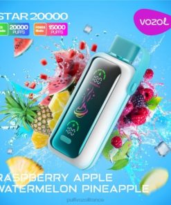 VOZOL Avis - VOZOL STAR 20000 framboise pomme pastèque ananas NV6D413
