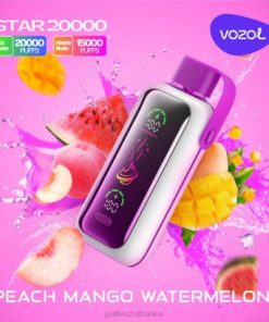 VOZOL Prix - VOZOL STAR 20000 pêche, mangue, pastèque NV6D411