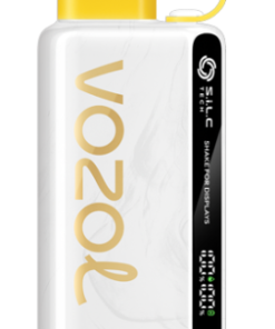 VOZOL Puff - VOZOL STAR 9000/12000 glace à l'ananas et à la noix de coco NV6D46